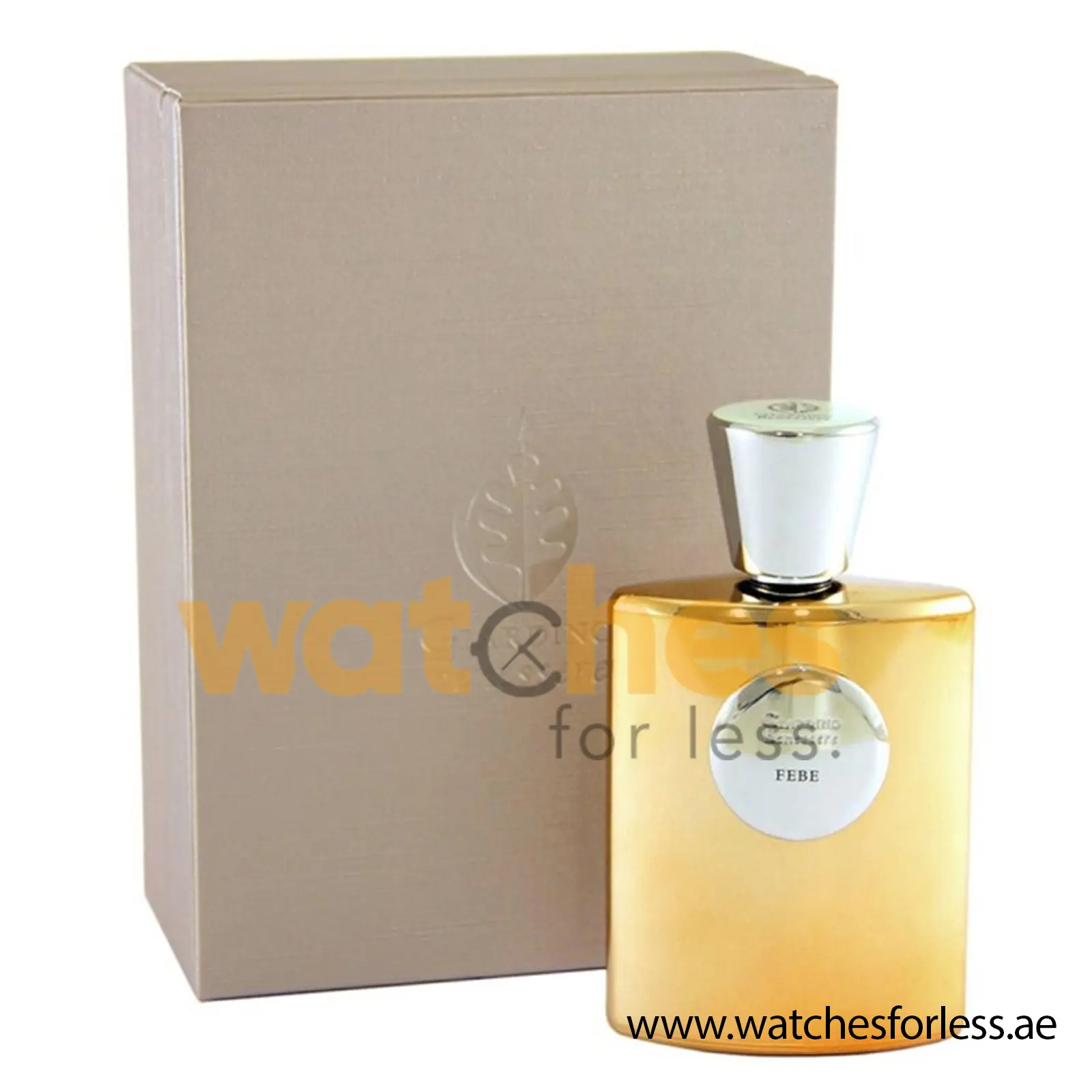 GIARDINO BENESSERE FEBE EXTRAIT DE PARFUM Perfume for Unisex 100ML (Original Perfume) (WFL Ref PO6228)