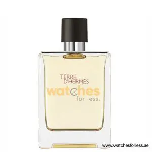 HERMES TERRE D'HERMES EDT Perfume For Men 50ML (Original Perfume) PO9286
