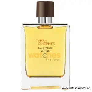 HERMES TERRE D'HERMES EAU INTENSE VETIVER EDP Perfume For Men 100ML (Original Perfume) PO9289