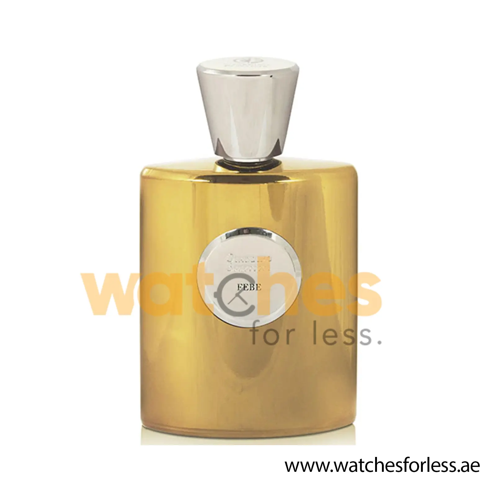 GIARDINO BENESSERE FEBE EXTRAIT DE PARFUM Perfume for Unisex 100ML (Original Perfume) (WFL Ref PO6228)