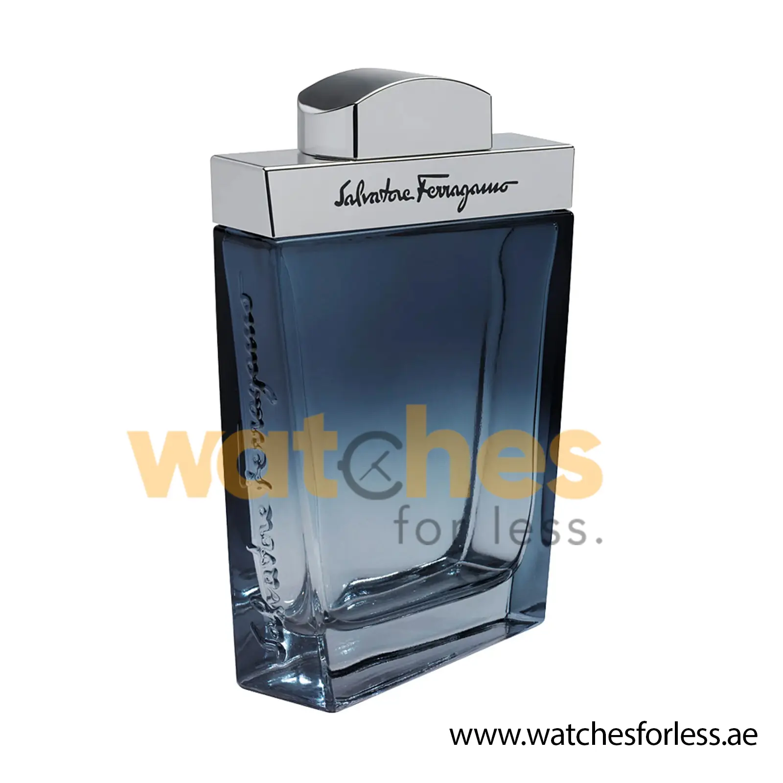 SALVATORE FERRAGAMO SUBTIL EDT Perfume For Men 100ML (Original Perfume) PO4275