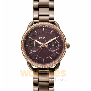 Fossil Women’s Quartz Brown Stainless Steel Brown Dial 35mm Watch ES4258