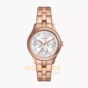Fossil Women’s Quartz Rose Gold Stainless Steel Silver Dial 38mm Watch BQ3993 (Without Tag)