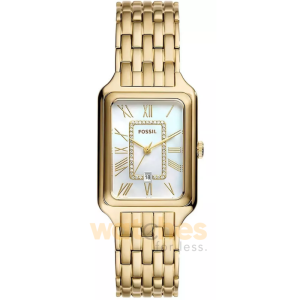 Fossil Women’s Quartz Gold Stainless Steel White Mother Of Pearl Dial 26mm Watch ES5304 (Shelf Leftover)