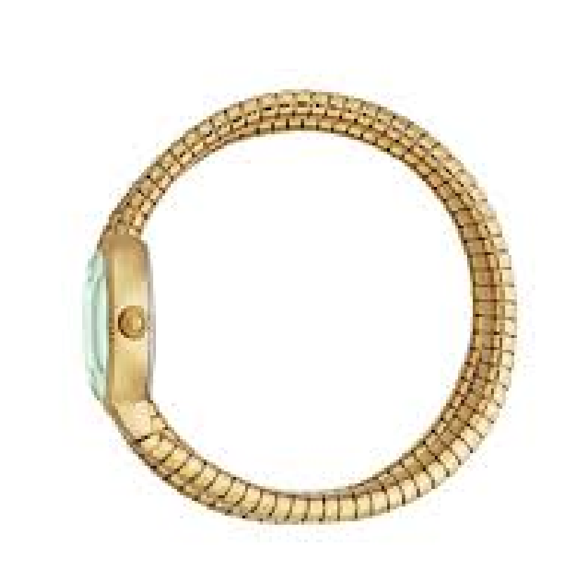 Just Cavalli Women’s Quartz Gold Stainless Steel Green Dial 22mm Watch JC1L269M0035