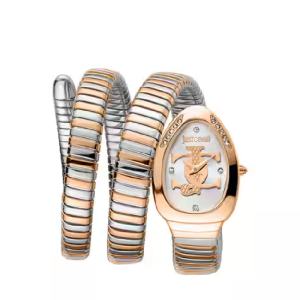 Just Cavalli Women’s Quartz Two-tone Stainless Steel Silver Dial 22mm Watch JC1L228M0085