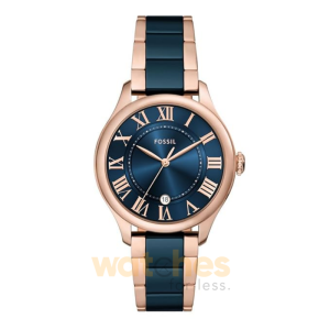 Fossil Women’s Quartz Two-Tone Ceramic Chain Blue Dial 38mm Watch CE1134 (Without Tag)