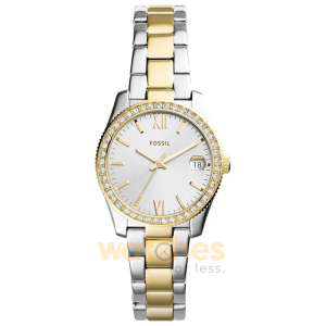 Fossil Women’s Quartz Two Tone Stainless Steel Silver Dial 32mm Watch ES4319 (Shelf Leftover)